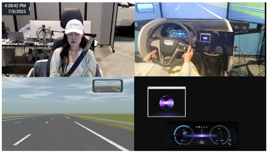 Driving Simulator Study